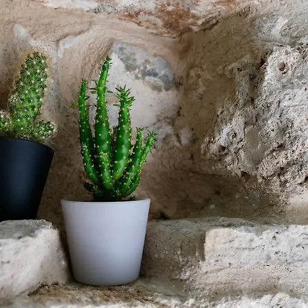 Indaco Habitación en casa particular *